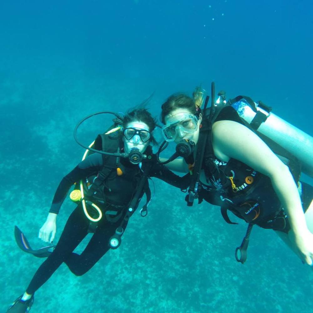 Meet your Posher, Julie